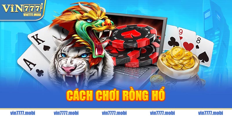 cách chơi rồng hổ