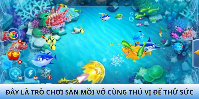 Đây là trò chơi săn mồi vô cùng thú vị để thử sức